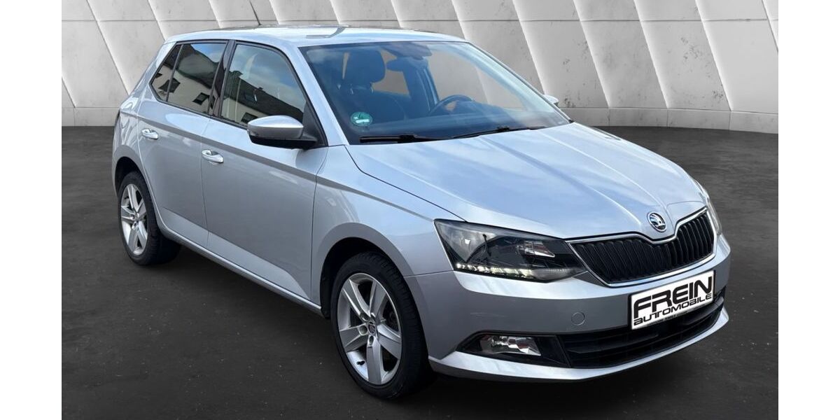 Skoda Fabia 119.000 km 10.490 &euro; Mehring 54346