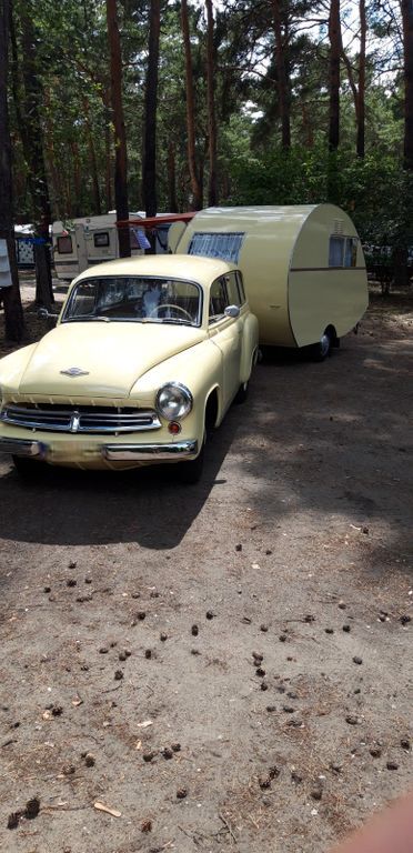 Wartburg 311 50.000 km 22.999 € Göda 02633