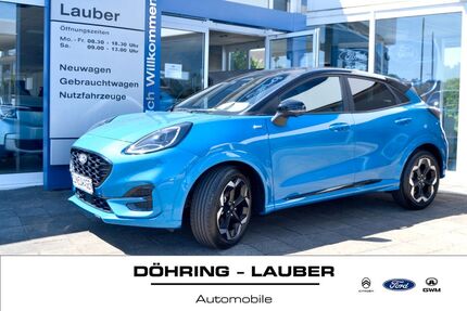 Ford Puma 3.035 km 27.775 &euro; Braunschweig 38106