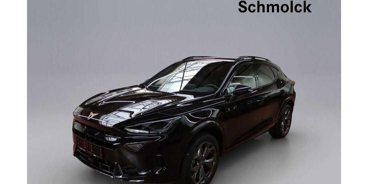 Cupra Formentor 18.000 km 34.890 &euro; Emmendingen 79312