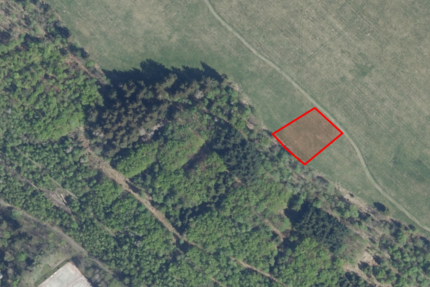 Bergwiese in Altenau im Landschaftsschutzgebiet 