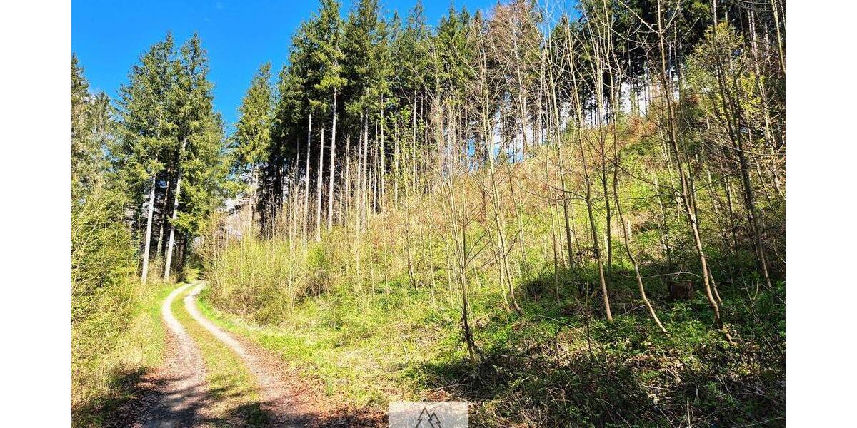 Grundstück Bergatreute - 119.000&euro; | Angebot:26798337