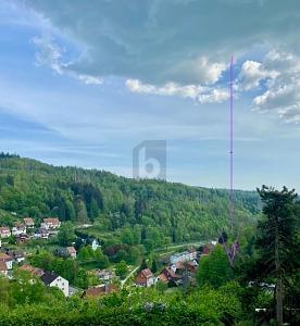 NEUBAUFLÄCHE MIT EIGENEM WALDANTEIL - Grundstück Bad Grund (Harz) | Angebot:26420953