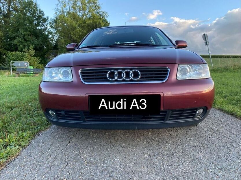 A3