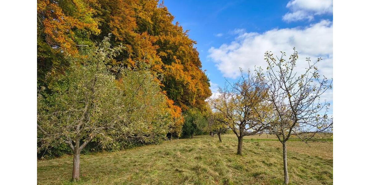 Grundstück Schorndorf - 43.900&euro; | Angebot:26359020