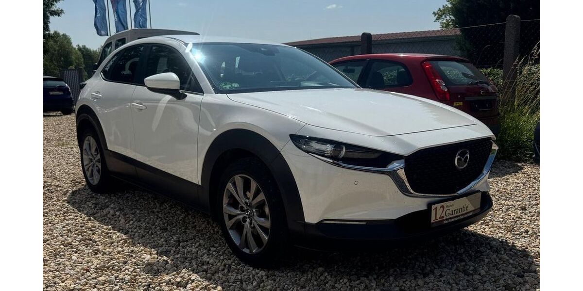 Mazda CX-30 99.978 km 18.499 &euro; Bad Lauchstädt 06246