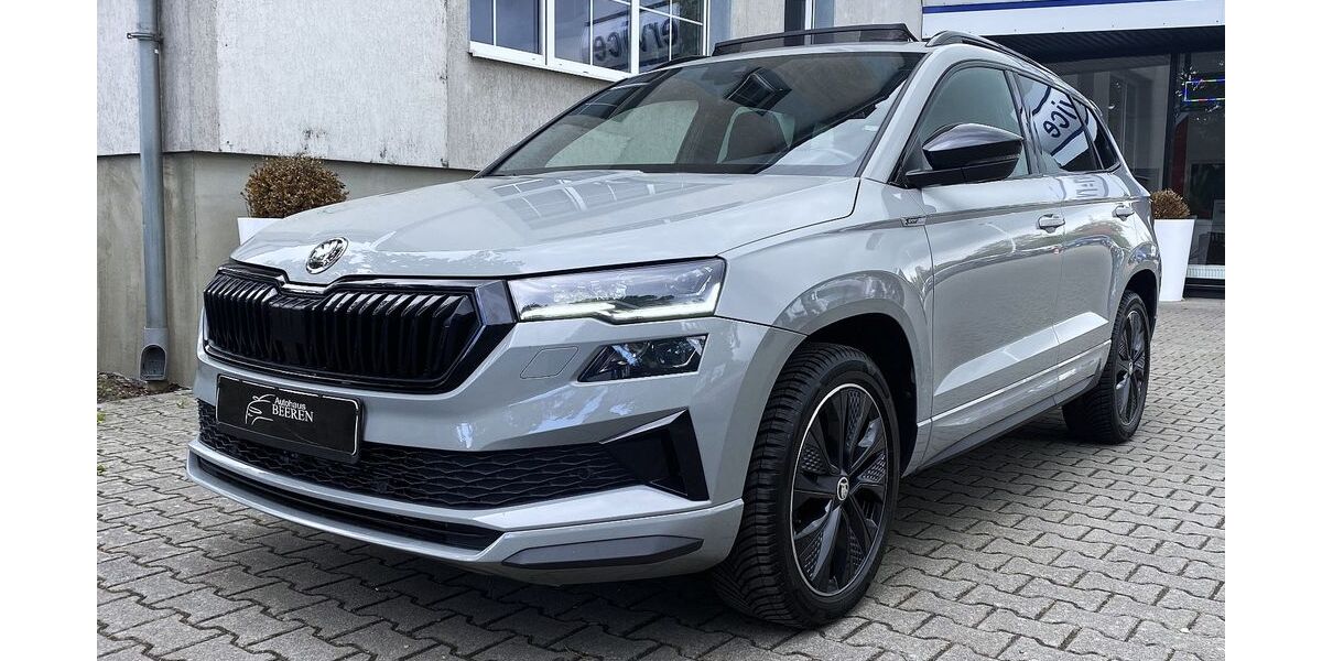 Skoda Karoq 116.118 km 22.490 &euro; Rathenow 14712