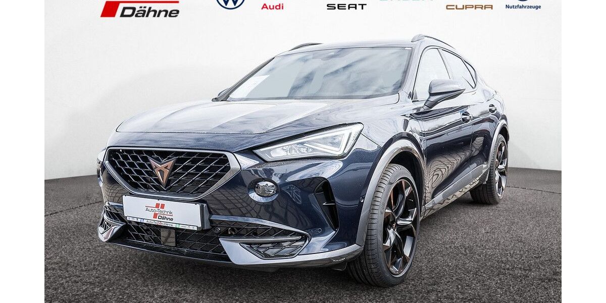 Cupra Formentor 93.916 km 25.880 &euro; Wittenberge 19322