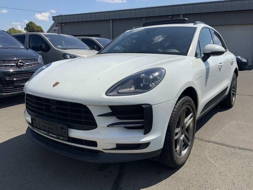 Macan