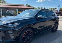 Gebrauchtwagen Cupra Terramar