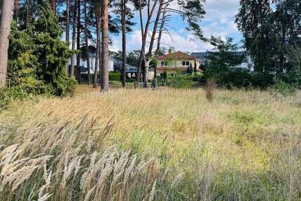 Grundstück Hambühren - 168.000&euro; | Angebot:23064855