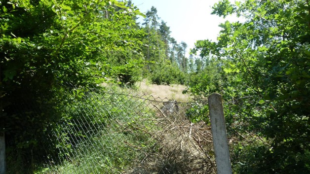Zwei Ferienhäuser in Traumhafter Lage am Waldesrand - Einfamilienhaus Heßles Heßles | Angebot:23821059