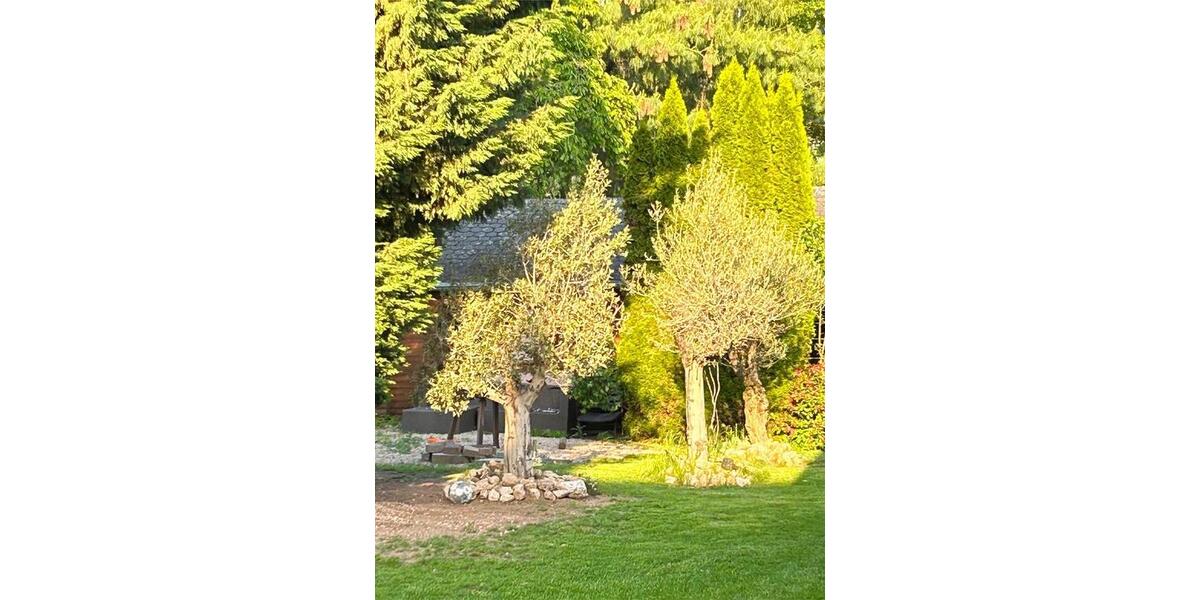 Erdgeschoßwohnung Euskirchen - 6 Zimmer, 200 m&sup2;, 495.000&euro; | Angebot:24769475