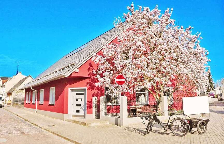 Haus zum Kaufen in Coswig Anhalt 280.000 € 250 m²