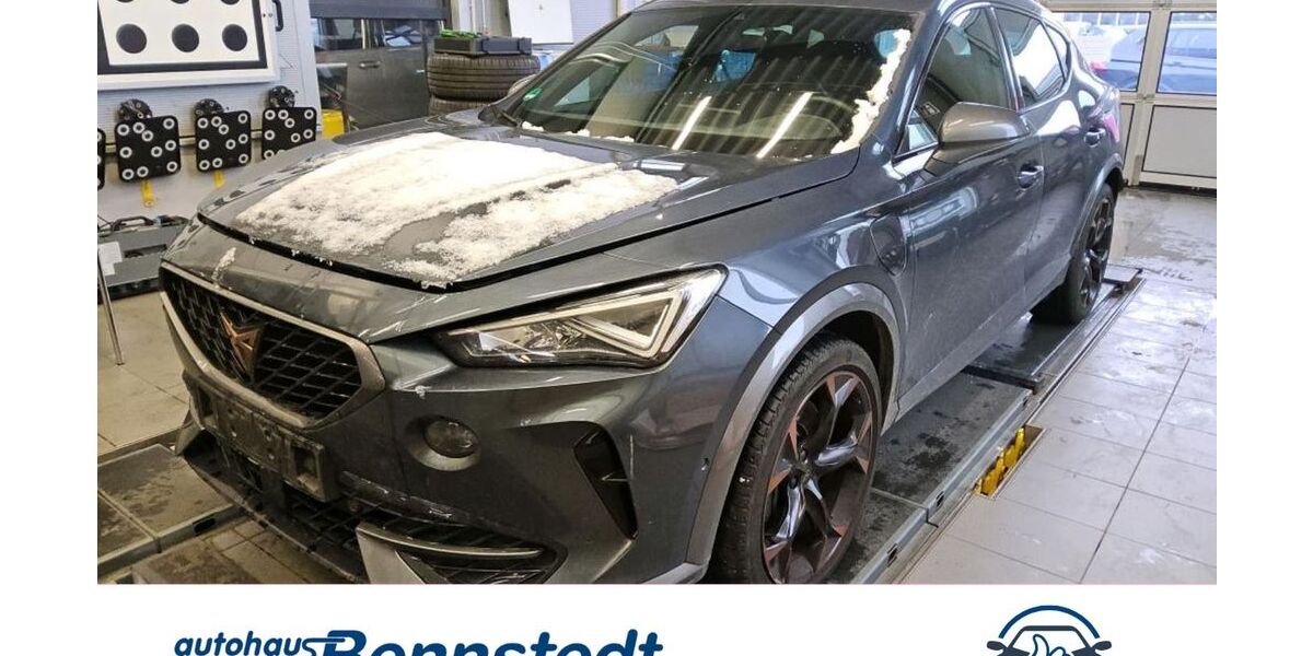 Cupra Formentor 49.999 km 25.820 &euro; Salzatal OT Bennstedt 06198