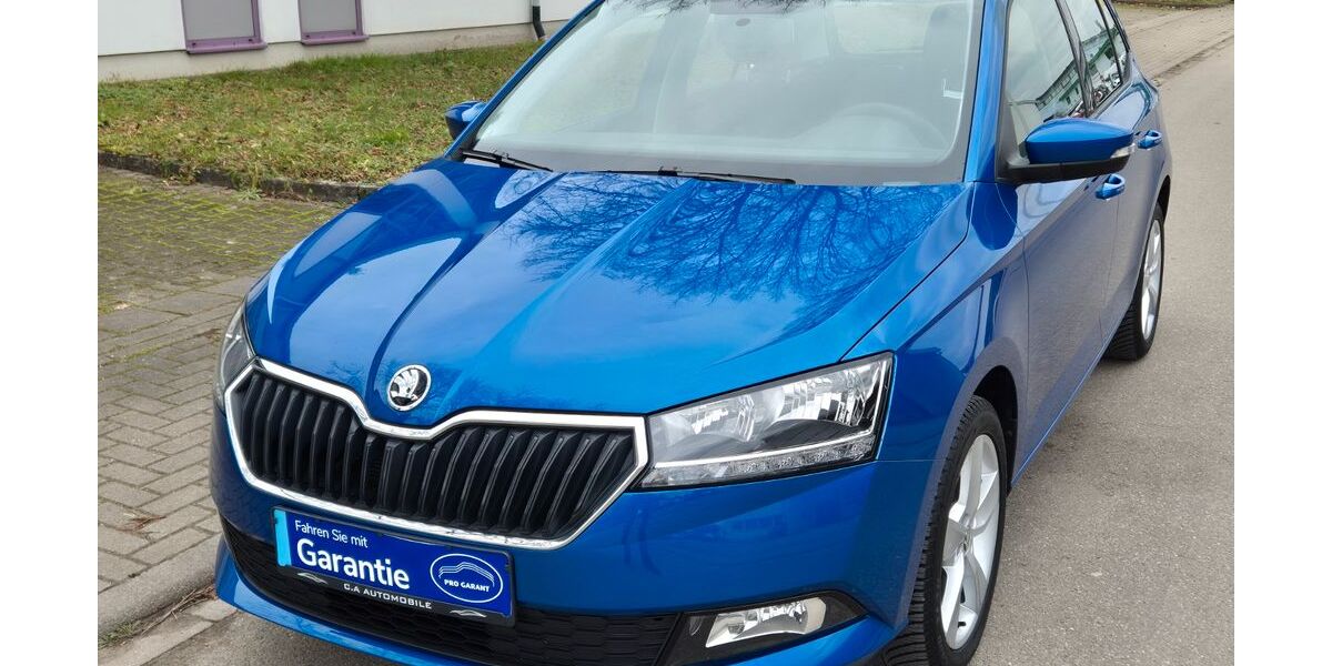 Skoda Fabia 15.181 km 10.777 &euro; Kippenheim 77971