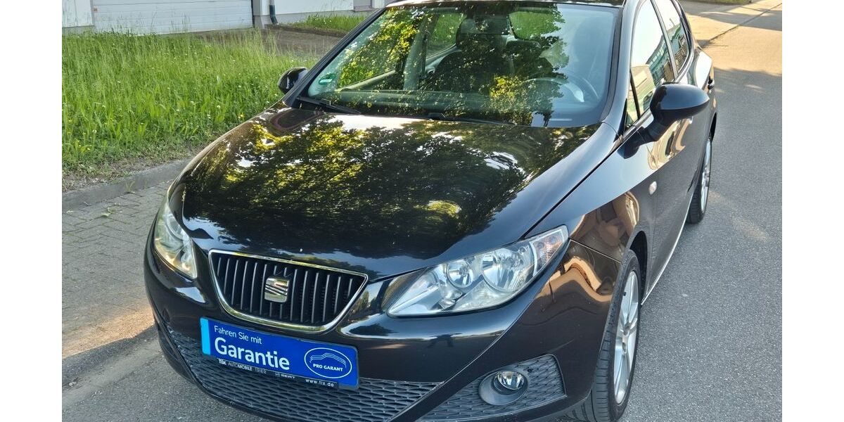 Seat Ibiza 188.000 km 3.555 &euro; Kippenheim 77971