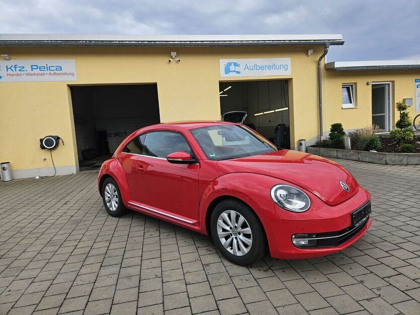 Beetle