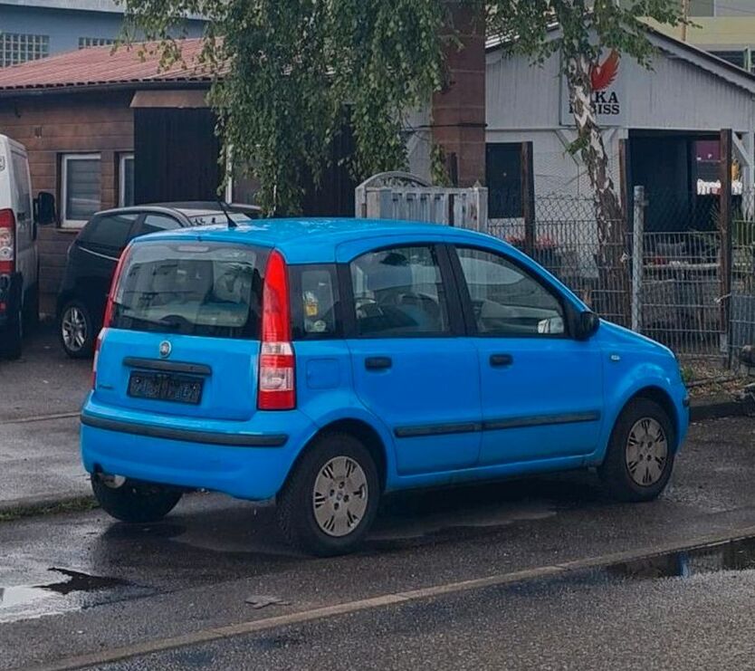 Panda