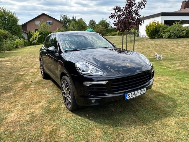 Cayenne