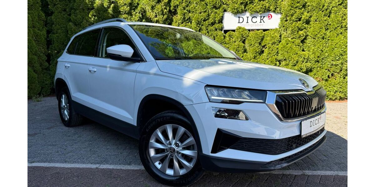Skoda Karoq 69.362 km 17.450 &euro; Eisenach 99817