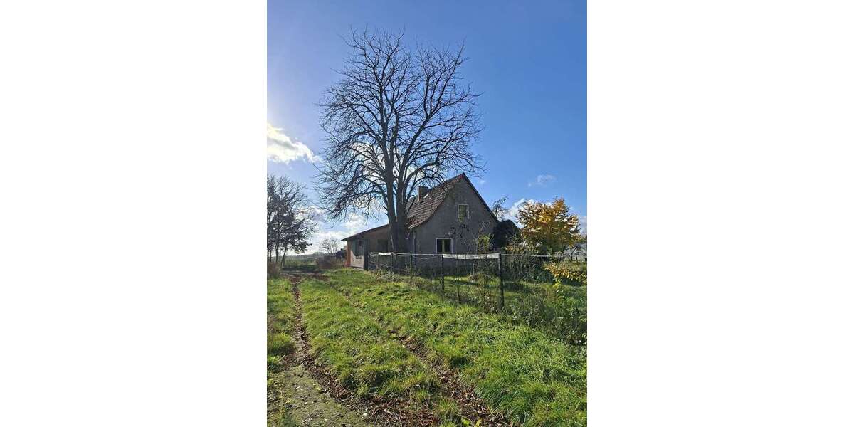 Einfamilienhaus Wiesenaue OT Jahnberge Jahnberge - 5 Zimmer, 120 m&sup2;, 239.000&euro; | Angebot:24278569