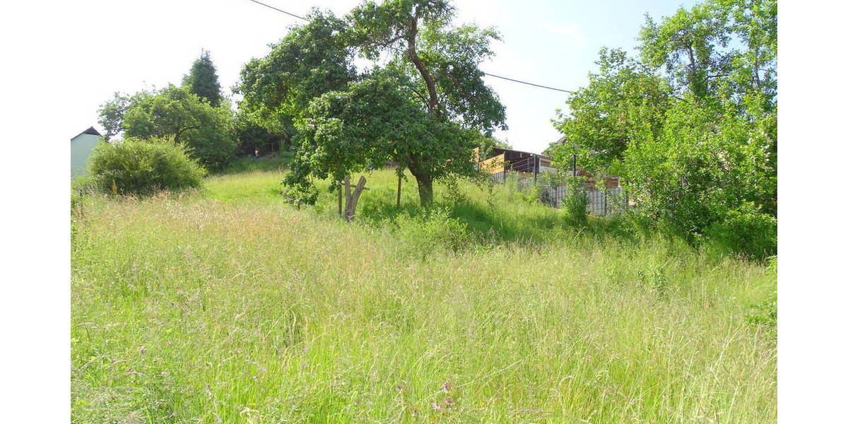 Grundstück Weilrod Gemünden - 49.000&euro; | Angebot:25672927