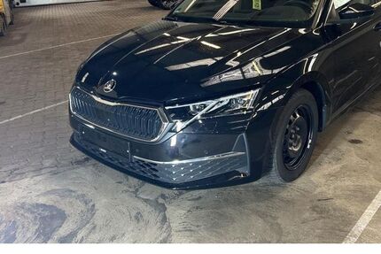 Skoda Octavia 18.500 km 36.890 € Bensheim 64625