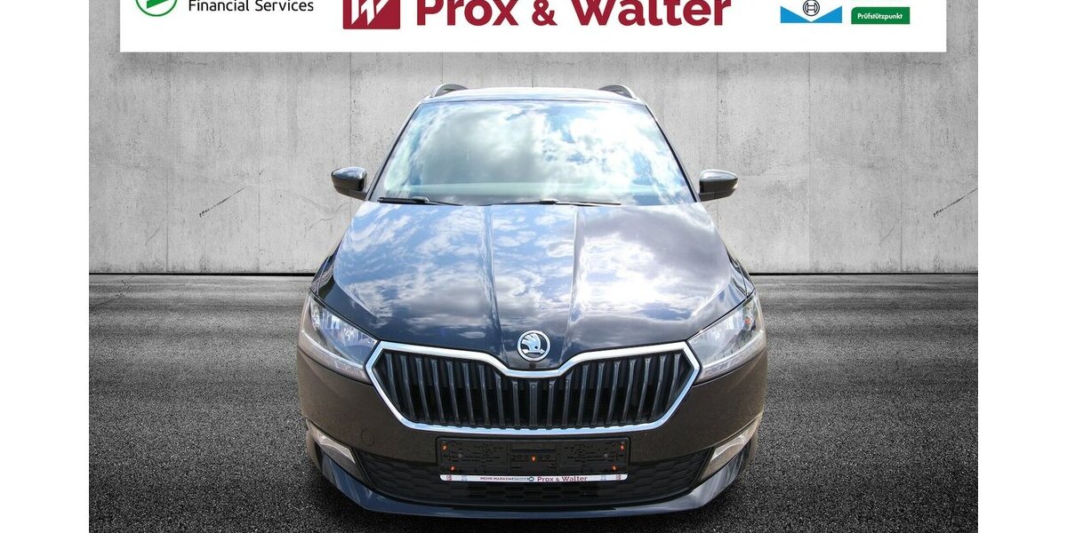 Skoda Fabia Combi TSI Ambition Plus KAMERA+SITZHEIZUNG 52.393 km 15.900 &euro; Hagenow 19230