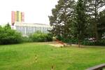 Sonnendurchflutetes SINGLE-Appartement im HP mit Grünblick und EBK in Berlin Marienfelde