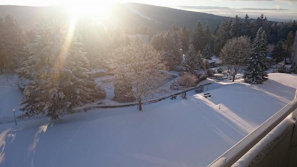 Etagenwohnung Goslar OS Hahnenklee-Bockswiese - 3 Zimmer, 44 m&sup2;, 55.000&euro; | Angebot:26962141