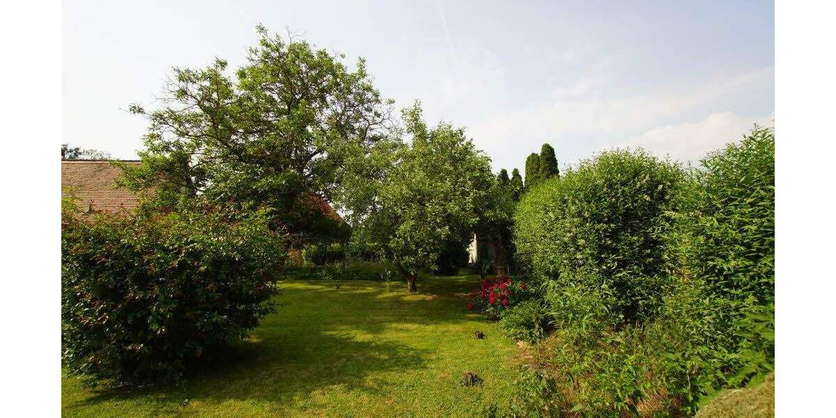 Grundstück Schkopau-Hohenweiden Hohenweiden - 149.000&euro; | Angebot:25748216