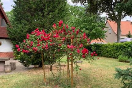 Wunderschönes Ferienhaus in traumhafter Lage zimmer