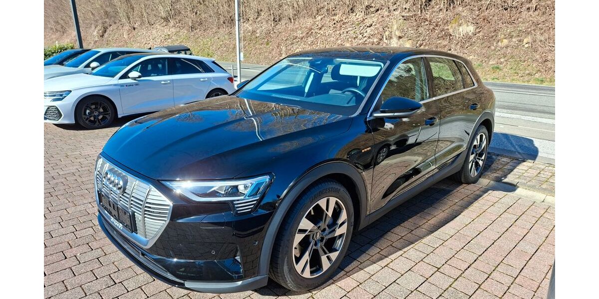 Audi e-tron 14.500 km 26.999 &euro; Waltrop 45731