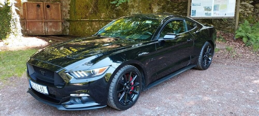 Mustang