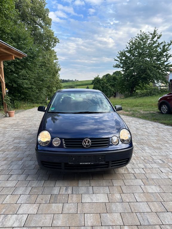 Polo