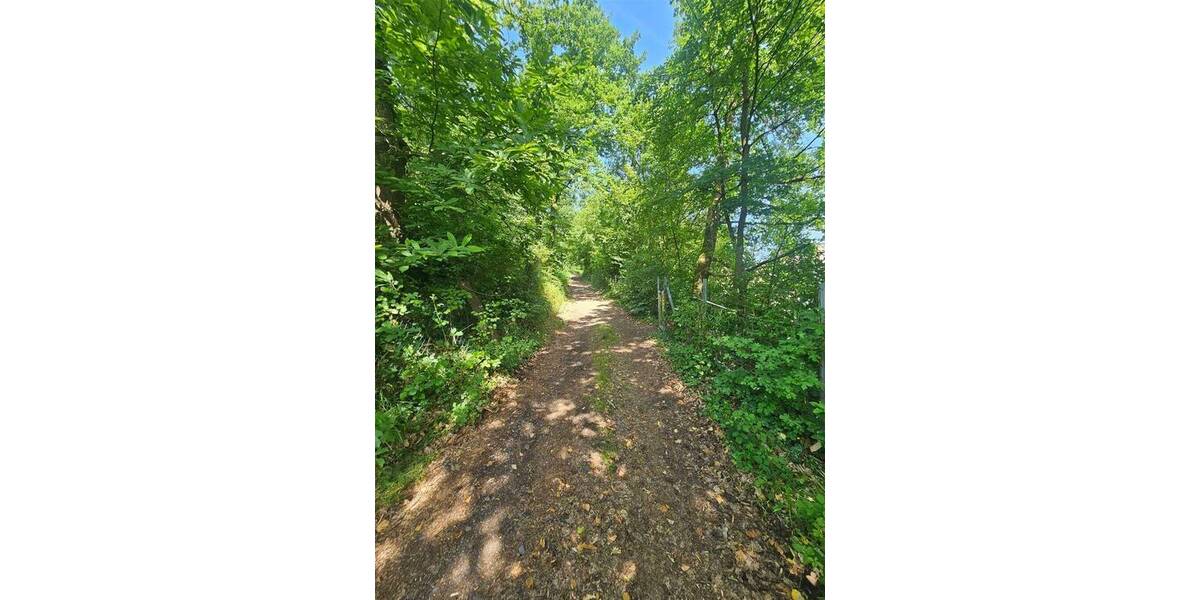 Grundstück Bündigen Büdingen - 525.000&euro; | Angebot:26796236