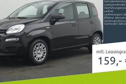 Fiat Panda 1.100 km 14.980 &euro; Borken 46325