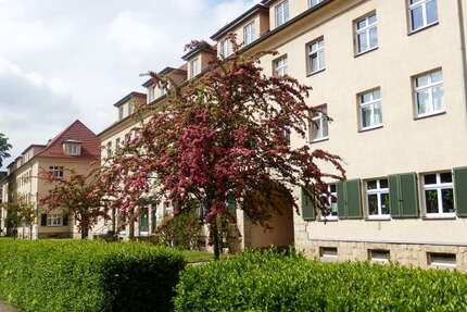 Wohnung Dresden Blasewitz - 3 Zimmer, 74 m&sup2;, 563&euro; | Angebot:26835334