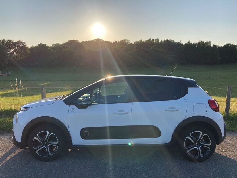 C3