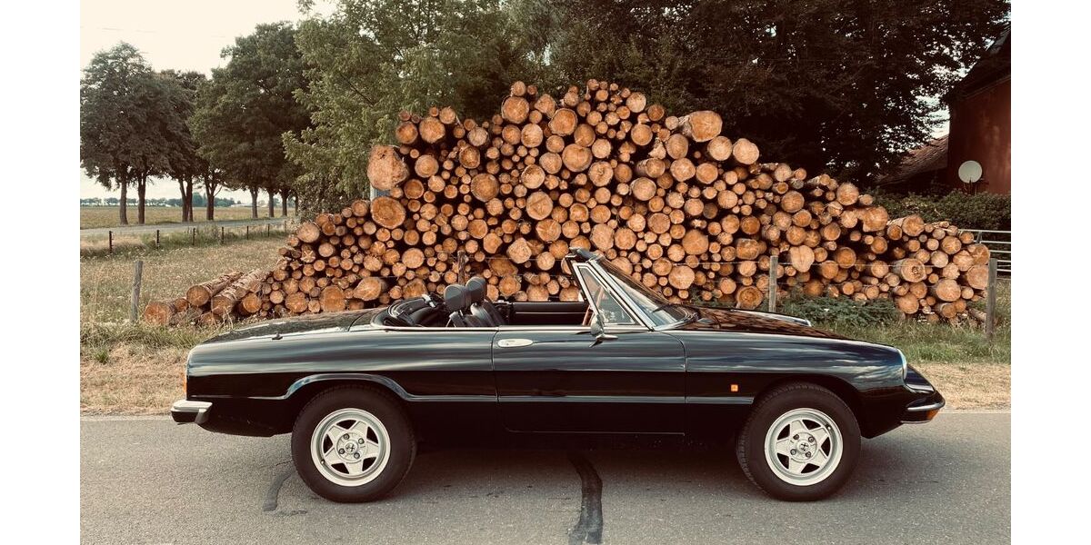 Alfa Romeo Spider 114.500 km 19.900 &euro; Köln 50858