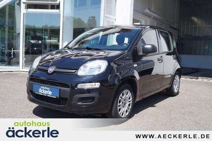Fiat Panda 36.100 km 10.249 &euro; Korb 71404