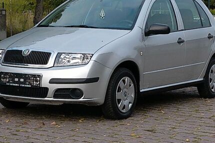 Skoda Fabia 118.000 km 3.000 &euro; Demmin 17109