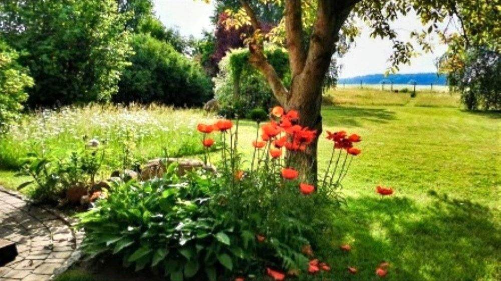 Einfamilienhaus Neuzelle Bomsdorf - 4 Zimmer, 170 m&sup2;, 280.000&euro; | Angebot:25686714
