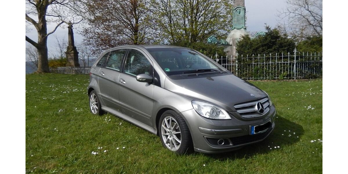 Mercedes-Benz B 200 193.300 km 3.995 &euro; Schweighofen 76889