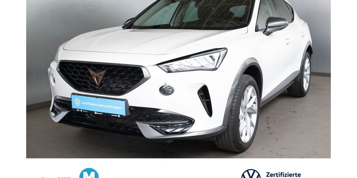 Cupra Formentor 16.653 km 22.480 &euro; Hüttenberg-Rechtenbach 35625