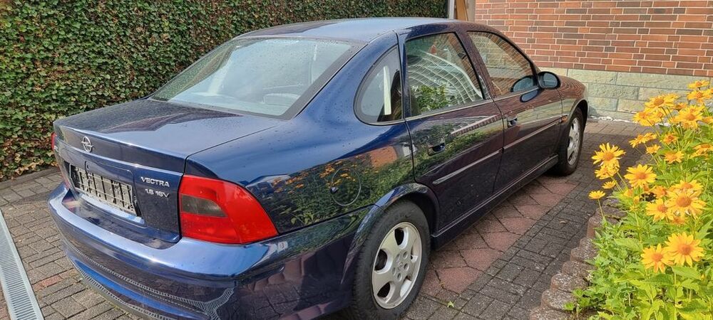 Vectra