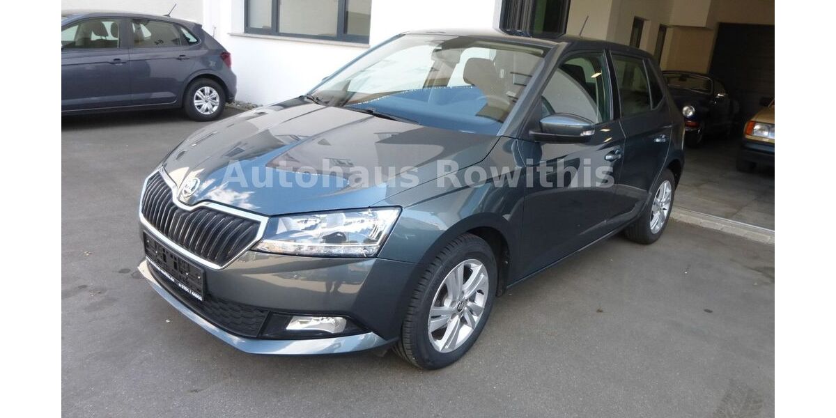 Skoda Fabia 61.268 km 11.499 &euro; Weingarten 88250