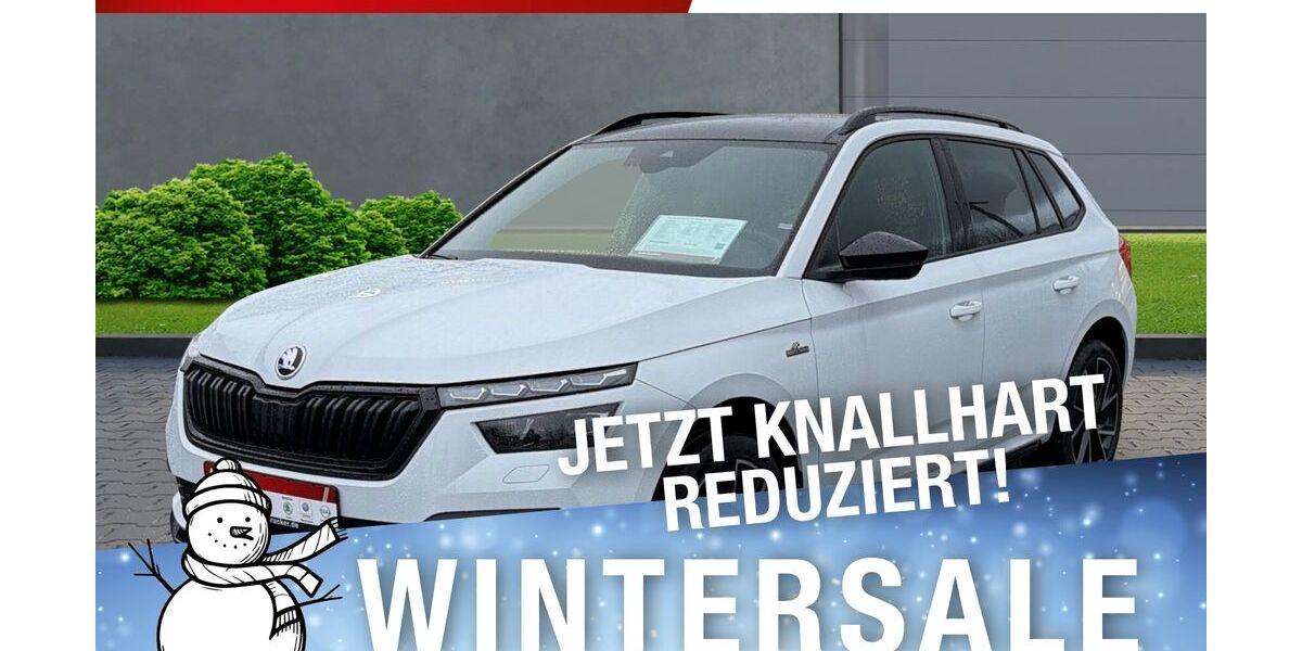 Skoda Kamiq 40.500 km 31.990 &euro; Marktredwitz 95615
