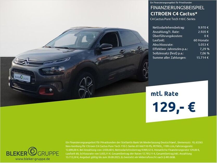 C4 Cactus